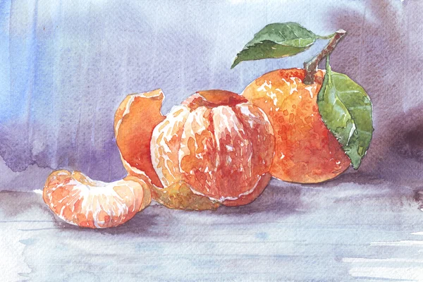 Mandarina cítricos acuarela —  Fotos de Stock