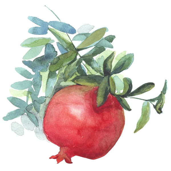 Гранат фруктів акварельна ілюстрація — стокове фото