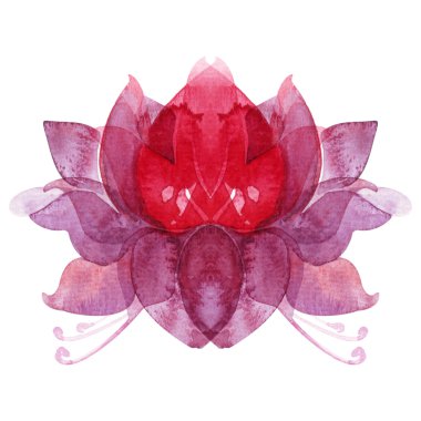 suluboya çiçek lotus çakra sembolü