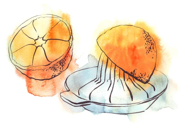 감귤 류 과즙 짜는 기구 및 오렌지 수채화 일러스트의 그림 — 스톡 사진