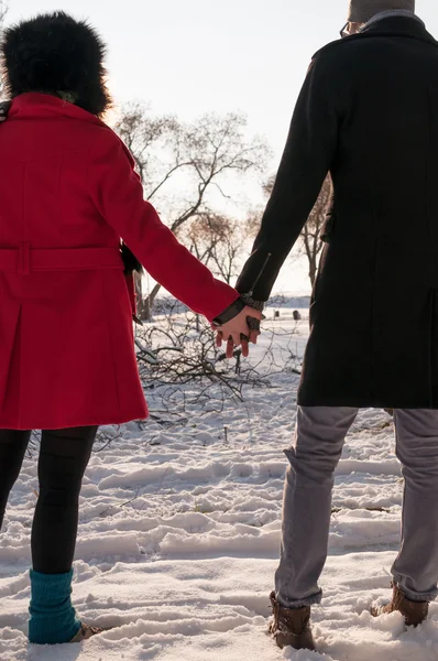 Romantik Çift ayakta karda