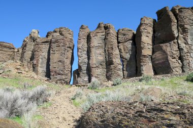 Columbia Nehri Bazalt