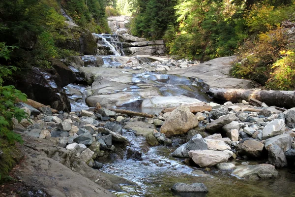 Creek in de Pacific Northwest — Stockfoto