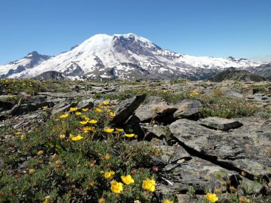 Mount Rainier Dağı Fremont üzerinden