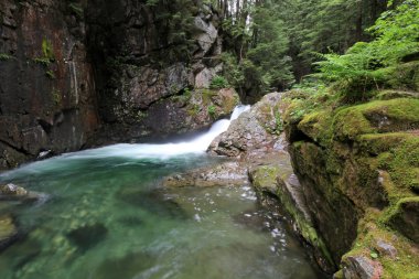 Pacific Northwest dağ dere