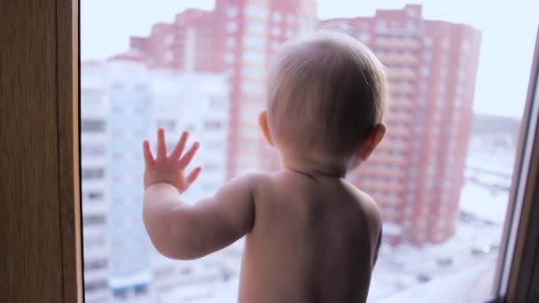 A baby on a windowsill — Stock Video