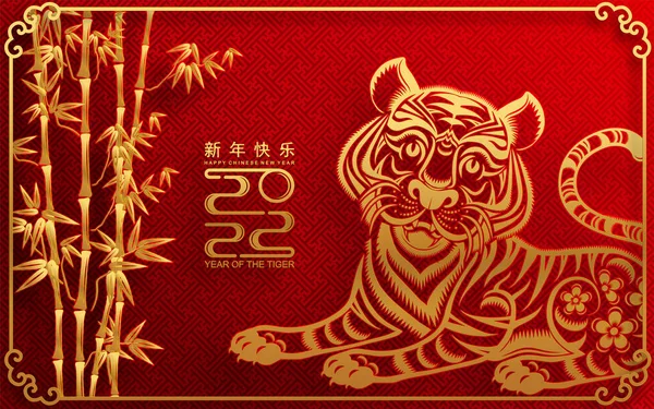 Ano Novo Chinês 2022 Ano Tigre Vermelho Flor Ouro Elementos — Vetor de Stock