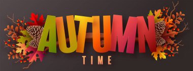 Autumn holiday seasonal background with colorful autumn leaves, mushrooms, owls, golden pods, squirrels, and elements paper cut craft style on color background.
