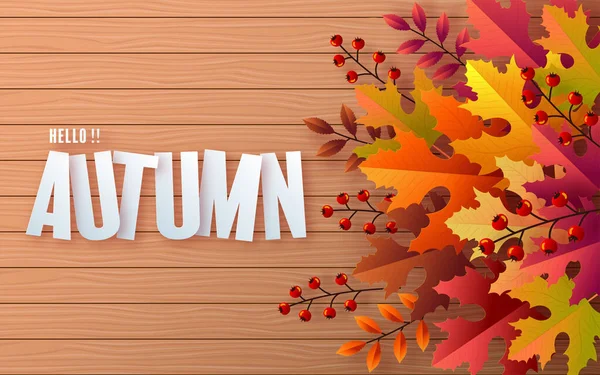 Herbstferien Saisonalen Hintergrund Mit Bunten Herbstblättern Pilzen Eulen Goldenen Schoten — Stockvektor