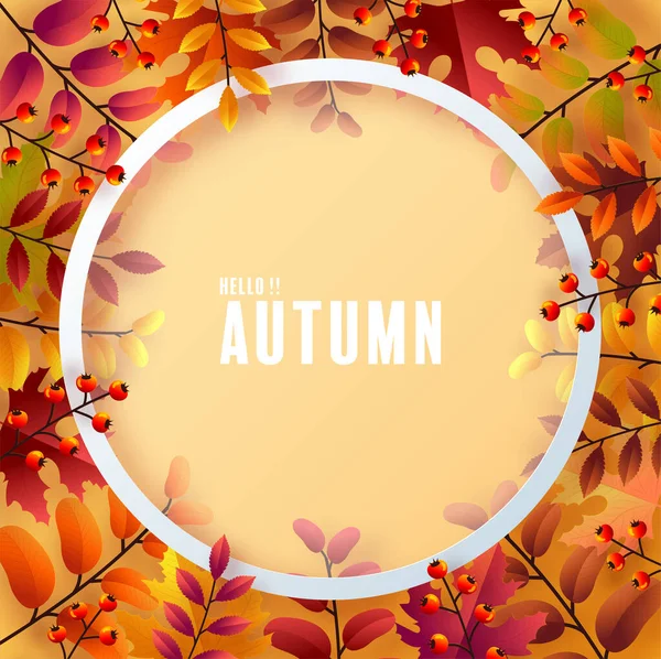 Autumn Holiday Seasonal Background Colorful Autumn Leaves Mushrooms Owls Golden — Vetor de Stock