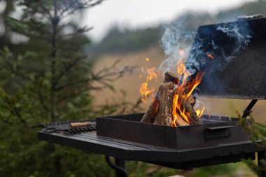 Dışarıdaki ızgaradaki odunlardan yükselen alevler, havaya doğru kıvrılan duman, arka planda dağlar ve ağaçlar