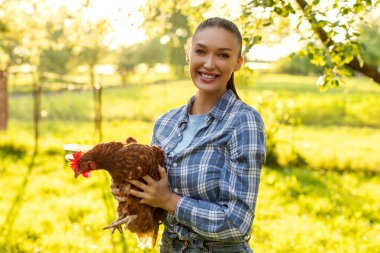 Çiftlik bahçesinde elinde kahverengi tavuk tutan neşeli bir kadın geleneksel kümes hayvanları çiftliğinde otlayan evcil bir tavuk.