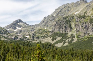 Güneşli yaz havasında yeşil orman dağlarının manzarası. Ekolojik olarak temiz bir alan, dünyanın güzelliğini keşfetmek.