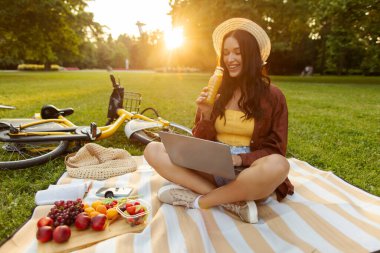 Açık havada iş zamanı. Kadın parkta piknik yapıyor, dizüstü bilgisayar kullanıyor, battaniyeye oturmuş arka planda gün batımı manzaralı meyve ve meyve suyu yiyor.