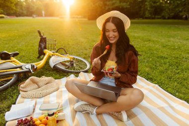 Modern çalışma rutini. Parkta battaniye üzerinde oturan, meyve yiyen, çimlerin üzerinde dinlenen, güneş batarken dizüstü bilgisayar kullanan bir kadın.