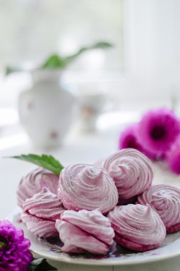 Şekerli tatlı ev yapımı - Frenk üzümü hatmi (zephyr)