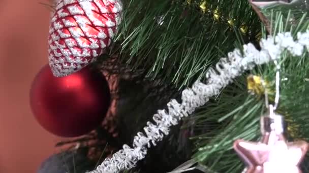 Різдво дерево Закри — стокове відео