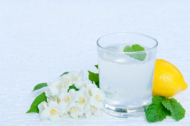 Kopya alanı ile limonata taze limon ve nane yaprakları