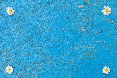 Hafif mavi eski arka plan papatya çiçekler turkuaz ile dokulu 