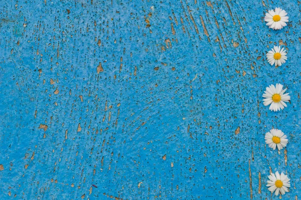 Hafif mavi eski arka plan papatya çiçekler turkuaz ile dokulu 