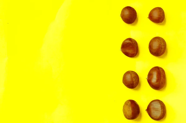 Sarı arka plan üstten görünüm kestane kestane desen