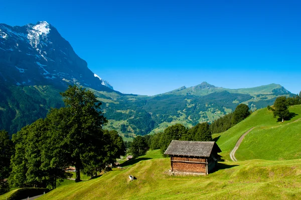 Zomer in de bergen van Zwitserland - Berner Alpen — Stockfoto