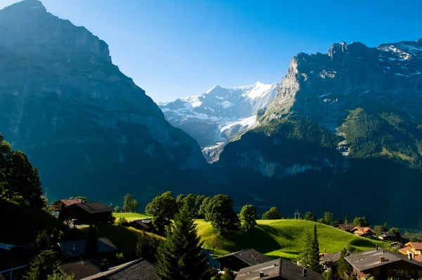 Yaz İsviçre dağlarında - Bernese Alps — Stok fotoğraf