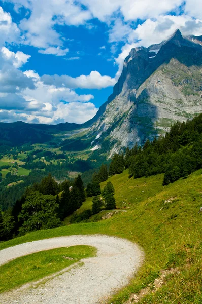 Zomer in de bergen van Zwitserland - Berner Alpen — Stockfoto