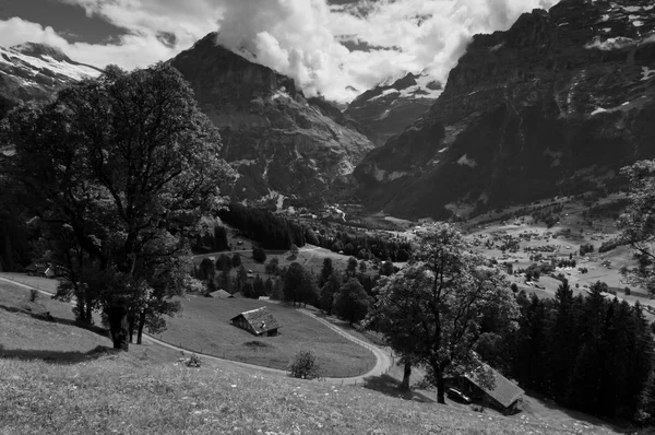 Zomer in de bergen van Zwitserland - Berner Alpen — Stockfoto