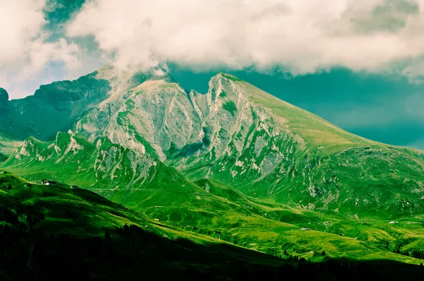 Zomer in de bergen van Zwitserland - Berner Alpen — Stockfoto