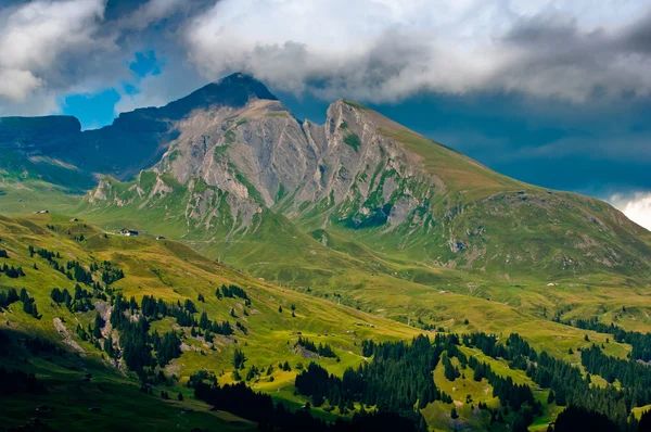 Zomer in de bergen van Zwitserland - Berner Alpen — Stockfoto