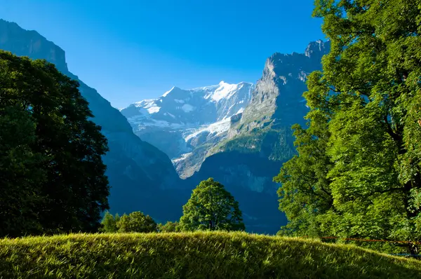 Zomer in de bergen van Zwitserland - Berner Alpen — Stockfoto