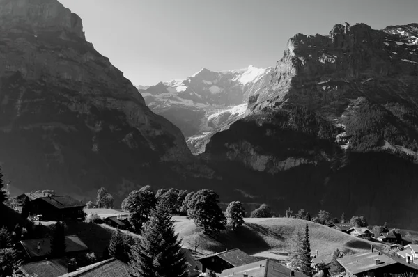 Лето в швейцарских горах - Бернские Альпы — стоковое фото
