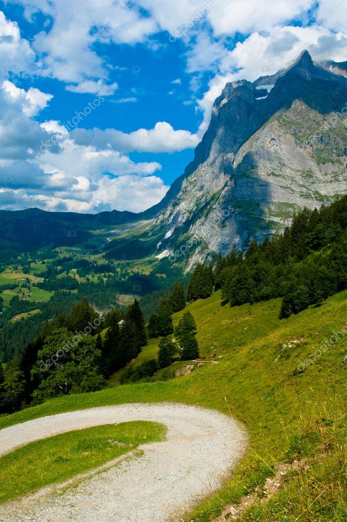 Sommer in den Schweizer Bergen - Berner Alpen — Stockfoto ...