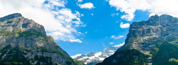 Zomer in de bergen van Zwitserland - Berner Alpen — Stockfoto