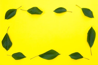 Kiraz kiraz yaprakları sarı zemin üzerine ile