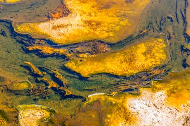 Yellowstone Milli Parkı