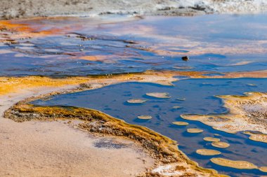 Yellowstone Milli Parkı