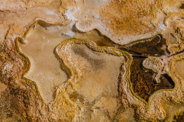 Yellowstone Milli Parkı