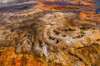 Yellowstone Milli Parkı