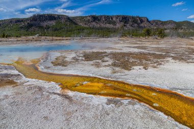 Yellowstone Milli Parkı