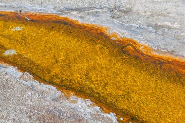 Yellowstone Milli Parkı