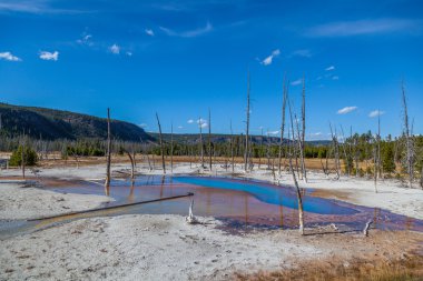 Yellowstone Milli Parkı