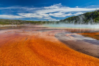 Yellowstone Milli Parkı
