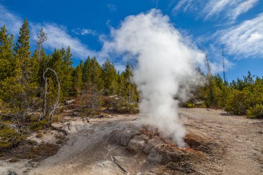 Yellowstone Milli Parkı