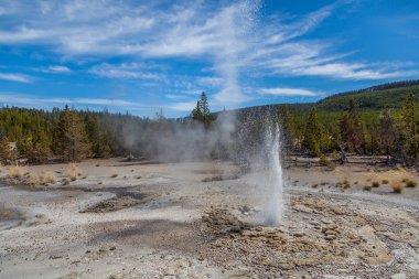 Yellowstone Milli Parkı
