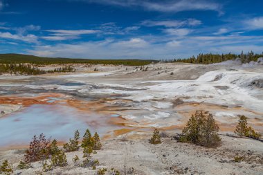 Yellowstone Milli Parkı