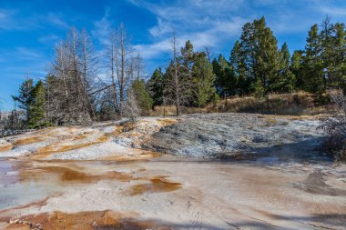 Yellowstone Millî Parkı Güz