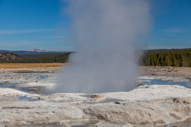 Yellowstone Milli Parkı