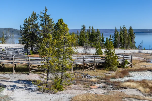 Parc national Yellowstone — Photo